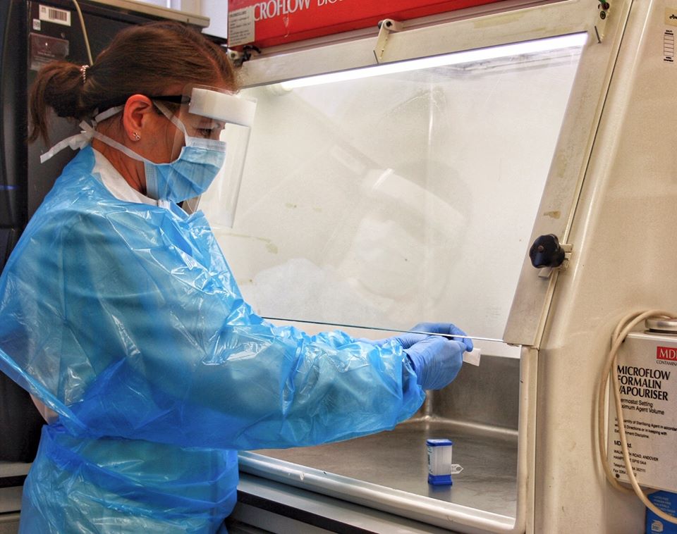 Marking the contribution of the NHS Western Isles Laboratory team